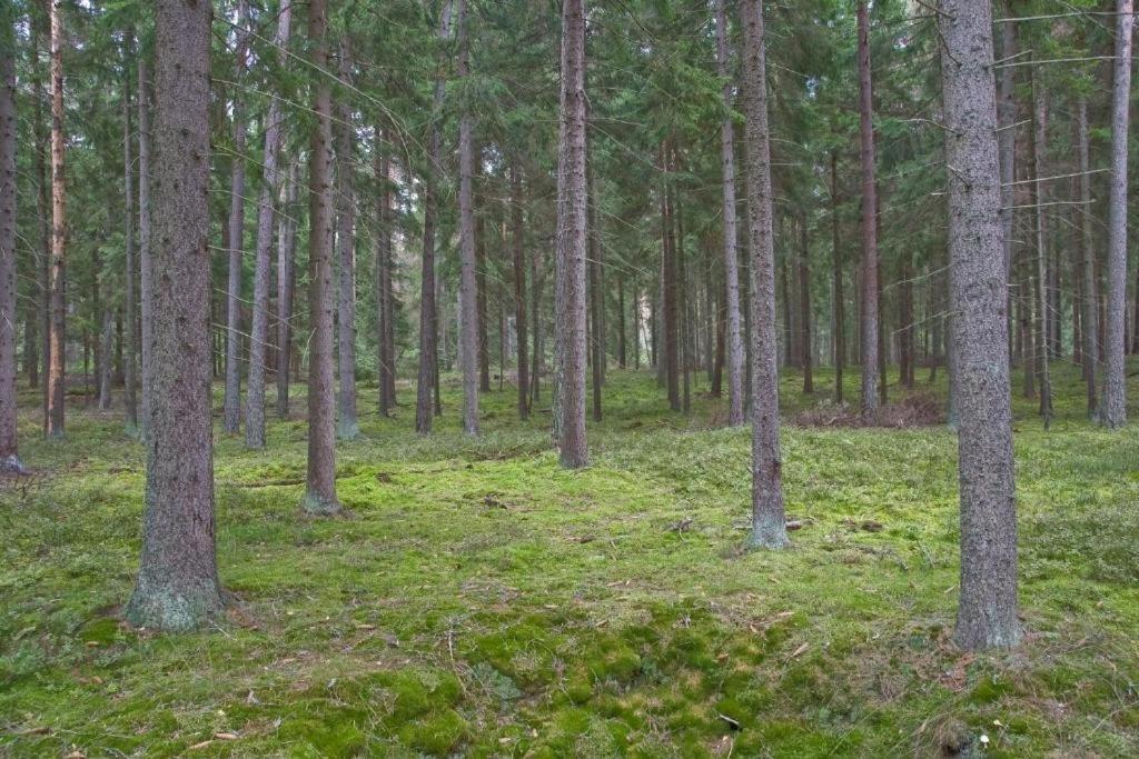 Agroturystyka Skoszewo 외부 사진